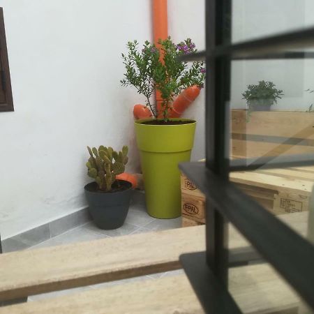 Sofia Pretty Appartament Παλέρμο Εξωτερικό φωτογραφία